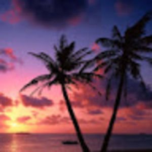 Meet your Posher, Gabriela